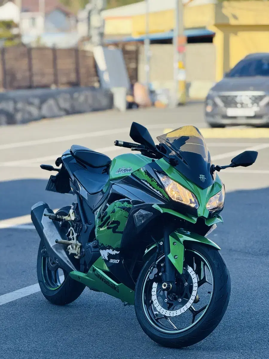 Ninja kawasaki 300